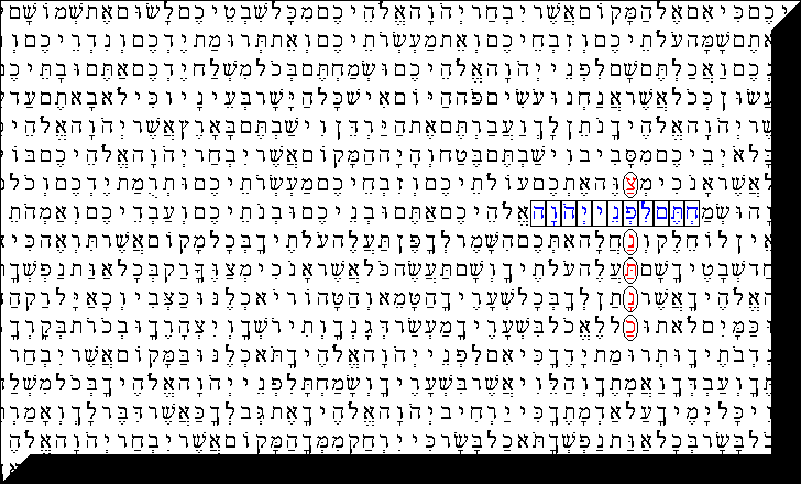 Torahcod.gif (20658 byte)
